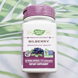 (Natures Way®) Premium Extract Bilberry Promotes Eye Health 80mg 60 Vegan Capsules บิลเบอร์รี่ บำรุงสายตา ลดอาการตาแห้ง