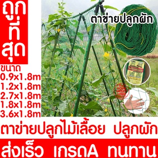 ตาข่ายปลูกพืชผัก ค้างปลูกผัก อวนปลูกผัก ตาข่ายอวน ค้างแตง ไม…