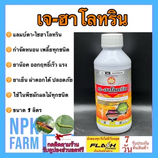 เจฮาโลทริน 1 ลิตร แลมบ์ดา ไซฮาโลทริน เจฮาโลทิน สูตรเย็น ฉีดผ่าดอกได้ ปลอดภัย กำจัด เพลี้ยไฟ หนอน แมลงหวี่ขาว เต่าทอง