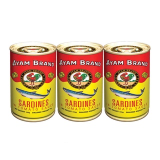 ✨ฮิตสุด✨ AYAM อะยัม ปลาซาร์ดีนในซอสมะเขือเทศ ชนิดฝาดึง 155 กรัม แพ็ค 3 กระป๋อง 🚚พร้อมส่ง!! 💨