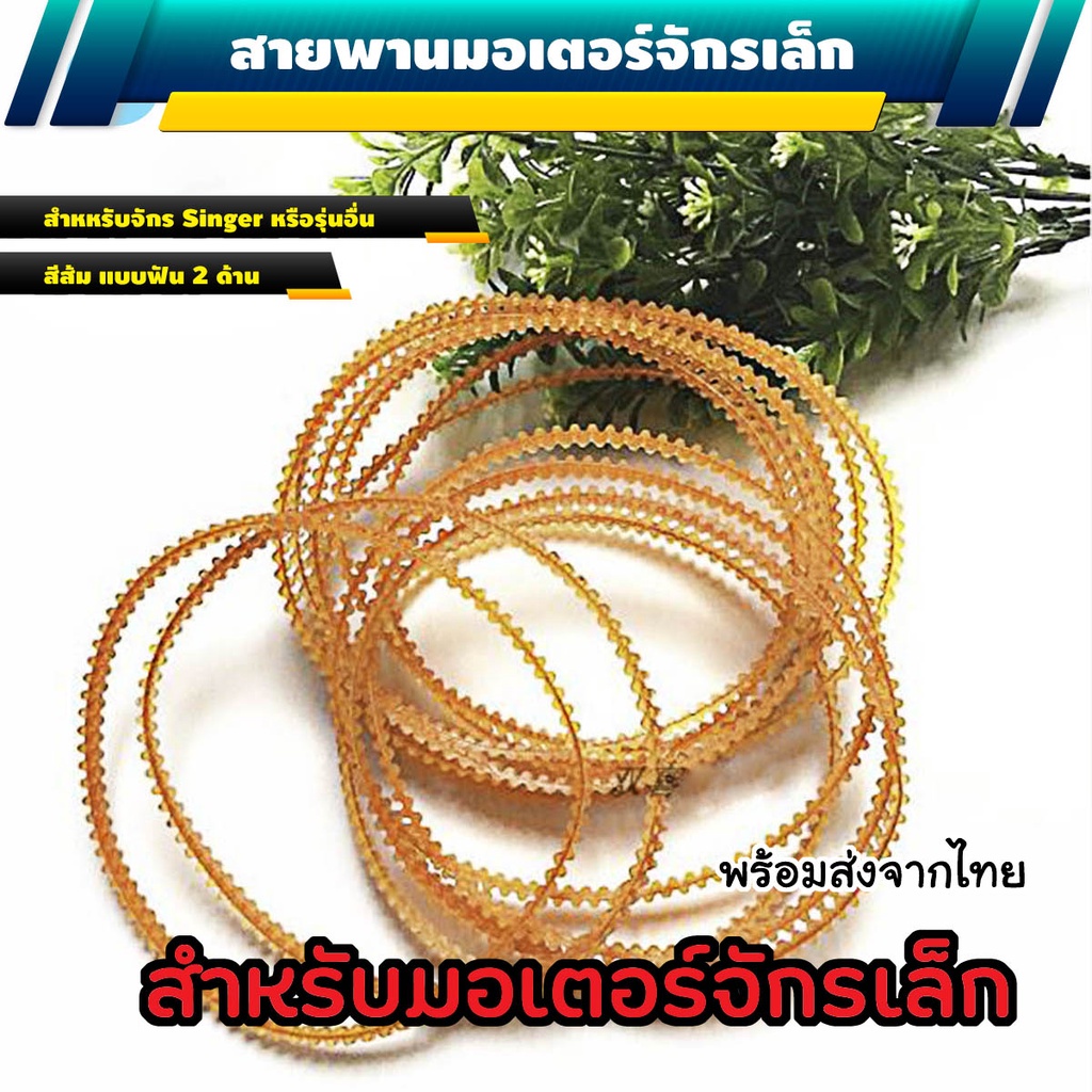 My Image 38