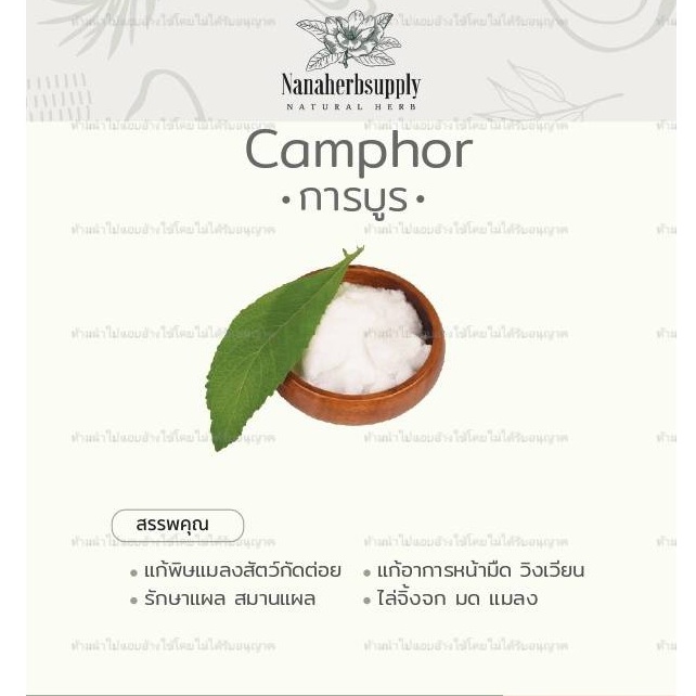 การบูร(Camphor) เกรดดี หอมมาก ขนาด 100 กรัม - Nanaherbsupply - Thaipick