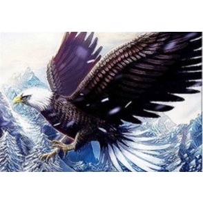 DIY 5D 5D รอบลูกปัดเต็ม Eagle เพชรจิตรกรรม,ลูกปัด