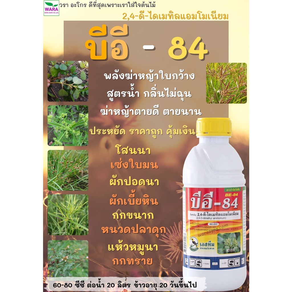 ฆ่าหญ้าใบกว้างในนา โสนนา ผักพริก ผักปอด ผักบุ้ง ผักเบี้ย กกทราย กกขนาก แห้วหมู กลิ่นไม่แรง หญ้าตายดี 2,4 D บีอี84