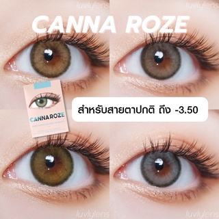 พร้อมส่ง Canna Roze - Idollens (สายตาปกติ ถึง -3.50) คอนแทคเลนส์รายปี คอนแทคเลนส์เกาหลี
