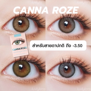 พร้อมส่ง Canna Roze - Idollens (สายตาปกติ ถึง -3.50) คอนแทคเลนส์รายปี คอนแทคเลนส์เกาหลี