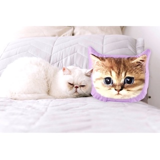 (พร้อมส่งของแท้!) ♥︎ PAUL &amp; JOE Original "Nunette" Big Face Pillow Cushion หมอนอิงนุ่มนิ่มสกรีนหน้าเจ้าเหมียว “นูเน็ตต์”