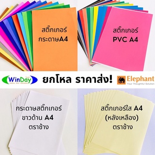 ยกโหล สติ๊กเกอร์ ตราช้าง สติ๊กเกอร์กระดาษA4 สติ๊กเกอร์ PVC คละสี สติ๊กเกอร์กระดาษขาว สติ๊กเกอร์ใส *แจ้งเลือกสีในแชท