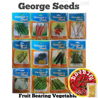 George Fruit and Vegetable High Quality Seedsแอปเปิ้ล/ผักกาดหอม/ผู้ชาย/แม่และเด็ก/ดอกทานตะวัน/มะละกอ/ดอกไม้/เมล็ด/เสื้อ/