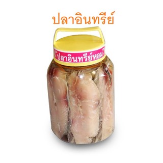 🛍️SUN RKT🛒ปลาอินทรีย์แช่น้ำมัน สะอาด อร่อย แพ็คบรรจุในกระปุก