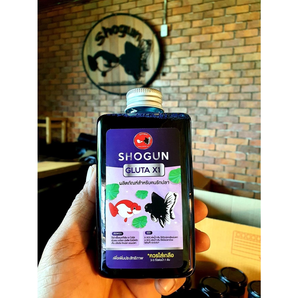 Shogun Gluta X 1 ขนาด 320 ml. กักปลาเพื่อล้างบ่อ รวมปลา ฆ่าเชื้อแบคทีเรีย รา ไวรัส ปรสิต โปรโตซัว เห