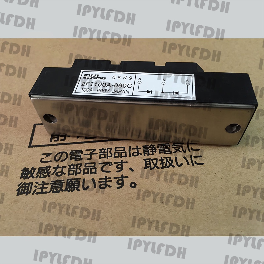 2FI100A-060D 2FI100A-060C 2FI100F-060C 2FI100G-100C Rectifier โมดูลไดโอด