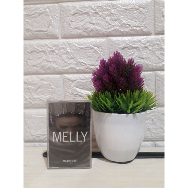 เทปคาสเซ็ท MELLY Mind N Soul