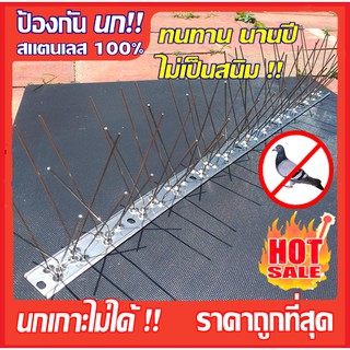 หนามป้องกันนก สแตนเลส100% Stainless หนามกันนกพิราบ วัสดุกันนก ไล่นกพิราบ ฐานสแตนเลส 50cm สำหรับ บ้าน คอนโด อาคาร