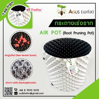 กระถาง Air Pot สีขาว HDPE เร่ง ราก Root Pruning แอร์พอท airpot เพิ่ม เร่งดอก โต ต้นไม้ กัน ชา container roots สมุนไพร 42