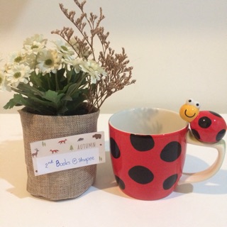 แก้วมัค เซรามิค ลายแมลงเต่าทอง ladybug mug cup