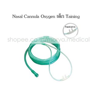 Oxygen Nasal Cannula Child สายให้ออกซิเจนทางจมูกเด็กโต