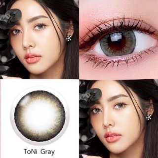 ✨Toni gray (Wink lens) ขนาดตาโต Big ☀️กรองแสง uv (บิ๊กอาย คอนแทคเลนส์ Bigeye)