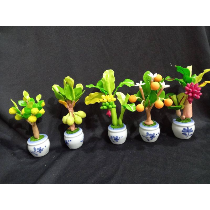 ต้นไม้มงคง สูง 4 นิ้ว ราคา 35 - 45 บาท