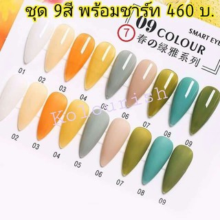 ชุดสีเจลโทนกะทิ 9 สี พร้อมกรอบชาร์ท