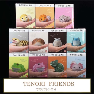 แยก Bandai Tenori Friends 6 โมเดลสัตว์ บก น้ำ สมจริง น่ารัก Axolotl Frog Model Figure ลิขสิทธิ์แท้ โมเดล ตกแต่ง หมาน้ำ