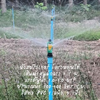 หัวสปริงเกอร์ โครงหมุน วงกว้าง 4-5 ม.