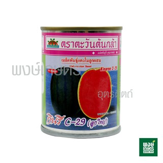 เมล็ดพันธฺุ์ แตงโม กินรี C-29 ลูกใหญ่ (40 กรัม) ตราตะวันต้นกล้า ผิวเขียวเข้มดำ ลายเส้นดำหยัก เนื้อแน่นแดง ขนาดผล 5-8 กก.