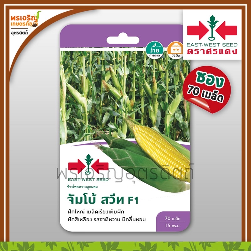 เมล็ดพันธุ์ข้าวโพด ข้าวโพดหวาน จัมโบ้สวีท F1 (แบบซอง) เมล็ดข้าวโพดหวาน ข้าวโพดหวานศรแดง เมล็ดพันธุ์ผักสวนครัว ตราศรแดง