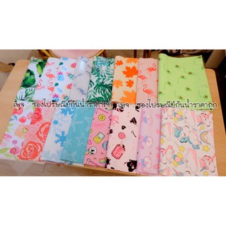 ลายใหม่เพียบ ซองไปรษณีย์ลายการ์ตูน พรีเมี่ยม