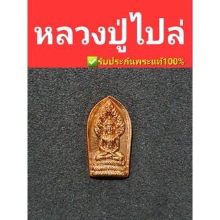 พระนาคปรก หลวงปู่ไปล่ วัดดาวเรือง