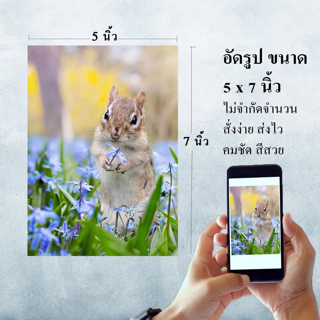 ปริ้นรูป อัดรูป 5x7 นิ้ว ใหญ่เต็มตา สุดคุ้ม อัดกี่ใบก็ได้ คุณภาพดี สีสด เครื่องเลเซอร์ ส่งถึงบ้าน