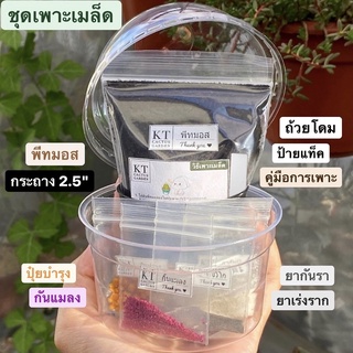 ชุดเพาะเมล็ด สำหรับแคคตัส (โปรดอ่านรายละเอียดสินค้าก่อนสั่งซื้อ)