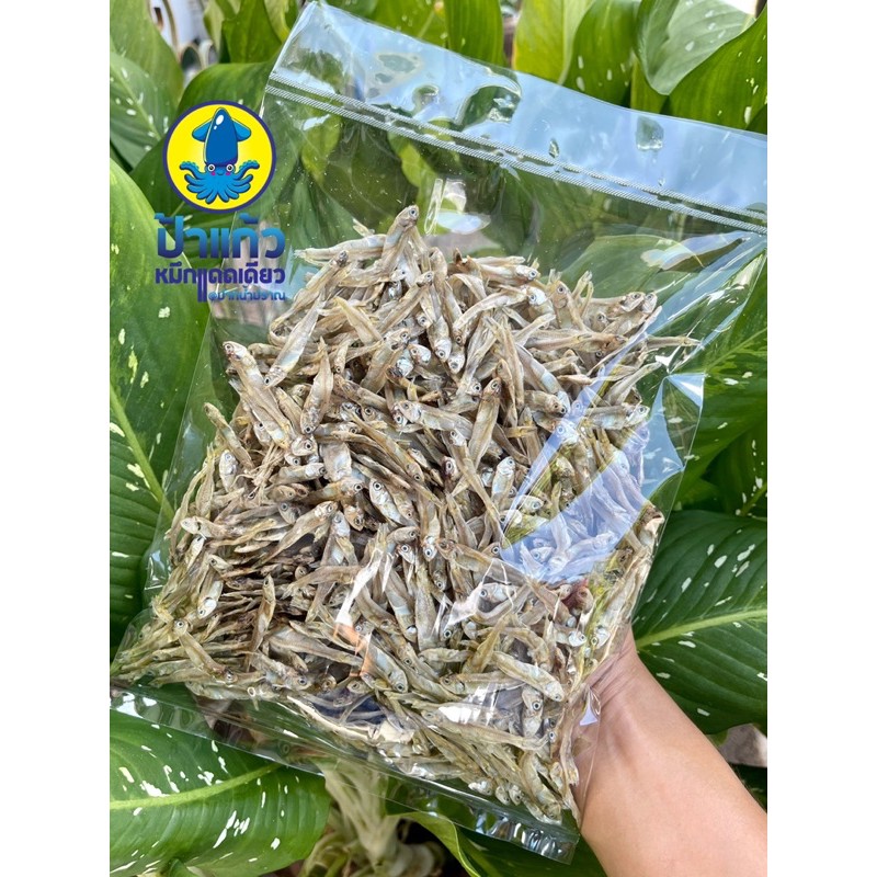 ปลาลูกเบร่ ปลามะลิ ไม่เค็มมาก สดใหม่ สะอาด ปลอดสารพิษ ทอดกินเล่นได้เลย