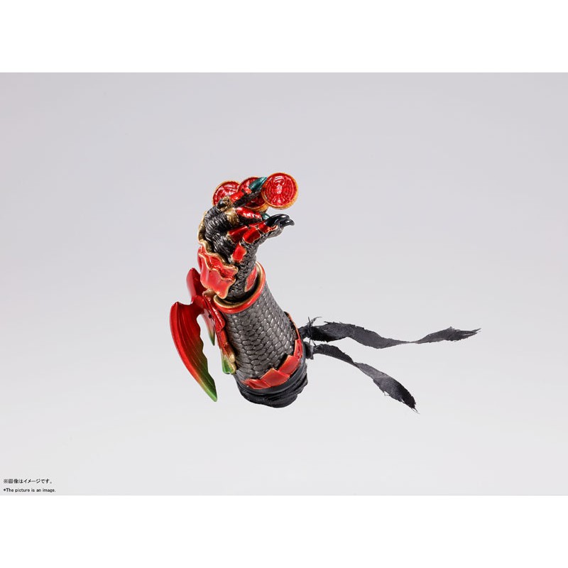 S.H.Figuarts (Shinkocchou Seihou) Ankh "Kamen Rider OOO" 4573102580399