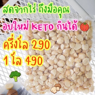 แมคคา อบใหม่ 13/09 เมล็ดสวย สดจากไร่ แมคคาเดเมีย คีโต กินได้ Keto Macadamia