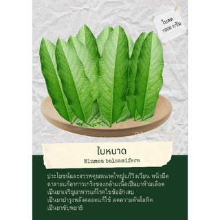 ใบหนาดสดออแกนิค100กรัม