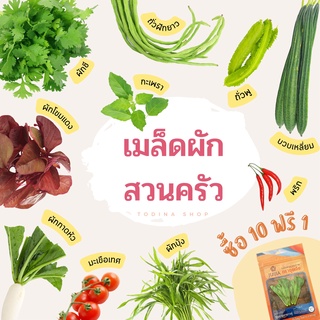 เมล็ดผักสวนครัว (ซื้อ 10 แถม 1) พริก ผักชี กวางตุ้ง ผักบุ้ง กะเพรา โหระพา ถั่วพู คะน้า บวบ แตงกวา มะเขือเทศ