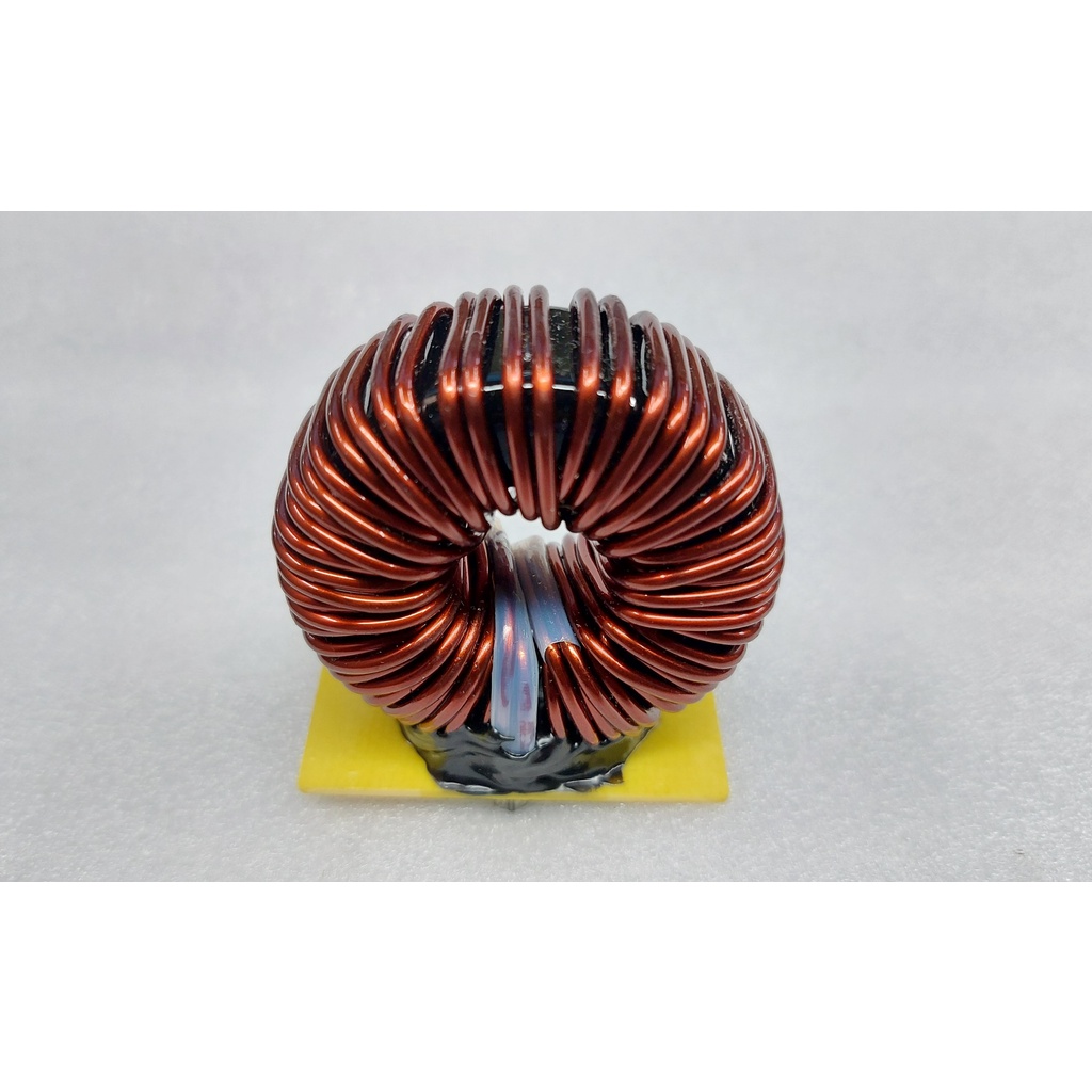 Inductors 100uH  30A