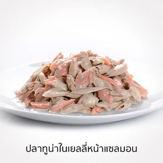 รีกาลอส อาหารแมว ปลาทูน่าในเยลลี่หน้าปลาแซลมอน x48 ซอง 70กรัม