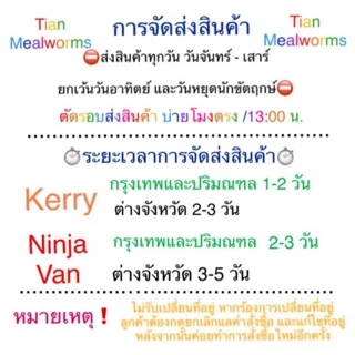 หนอนนกอบแห้ง โปรตีนสูง 100% สำหรับแฮมสเตอร์ เม่น กระรอก นก | Dried Mealworms [ZC Thai Pet]