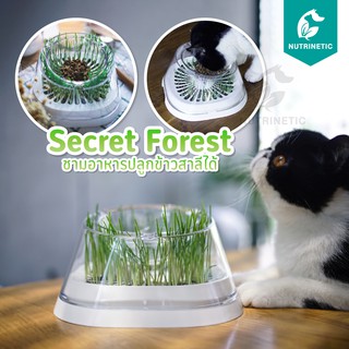 Moboli Secret Forest ชามข้าวเพื่อสุขภาพสัตว์เลี้ยง มีจุดเด่นอยู่ที่สามารถปลูกต้นข้าวสาลีได้