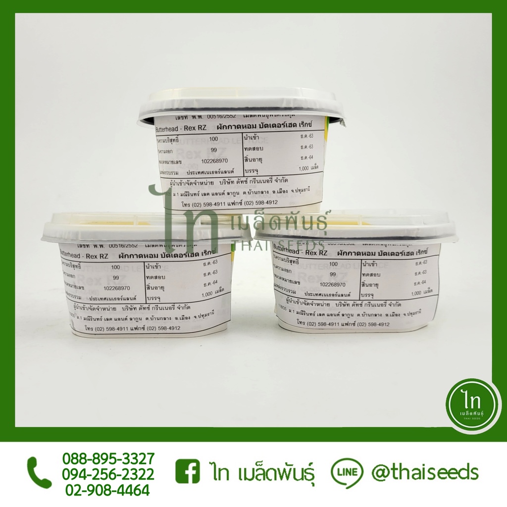 บัตเตอร์เฮด Rex RZ เมล็ดเคลือบ (Rijk Zwaan) ดัทช์ บรรจุ 1000 เมล็ด