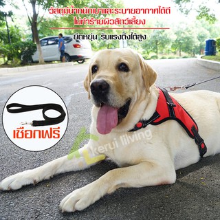 สายรัดอกและสายจูง สายรัดอกพร้อมสายจูงสุนัข สายจูงสุนัข สามารถปรับได้ มีสายคล้องมือ