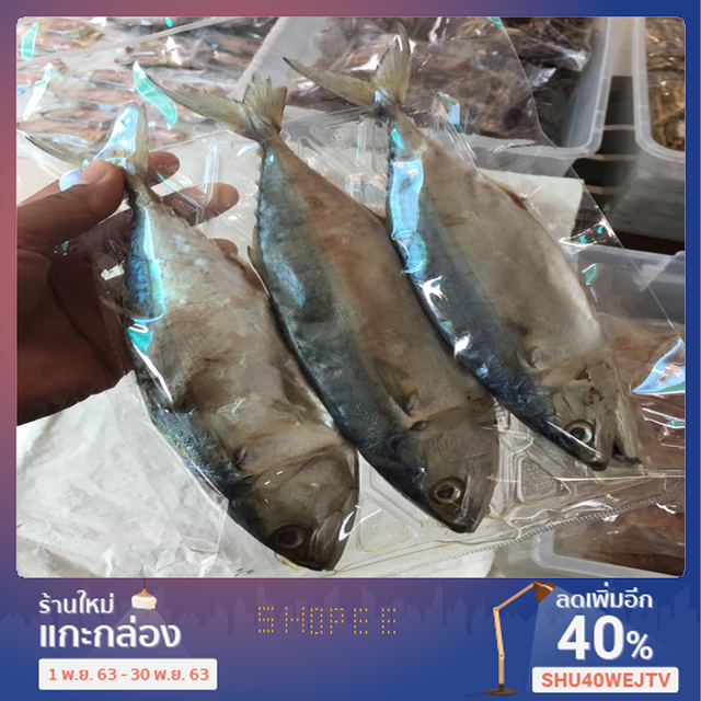 ปลาทูมันจัมโบ้ 1แพ็ค มี 3ตัว
