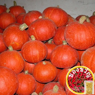 Green Healthy Red Lovely Sweet Delicious Sweet Pumpkin Seed ,Happy Farm-winter squash ,Color packaging seeds-about 8part