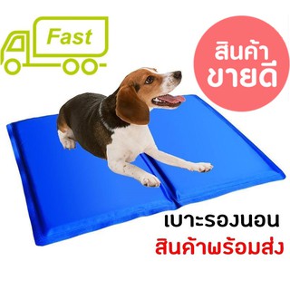 Pet cool mat ที่นอนเจลเย็นหมา แผ่นเจลรองนอนหมา แผ่นเจลเย็น M 40cm X 50cmช่วยลดความร้อน คลายร้อนให้สุนัข