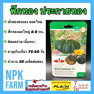 ผักซอง ศรแดง ฟักทองประกายทอง จำนวน 30 เมล็ด/ซอง เมล็ดพันธุ์ ฟักทอง ลอตใหม่ ฟักทองผลใหญ่ 6 - 8 กก. ติดผลง่าย เนื้อหนา