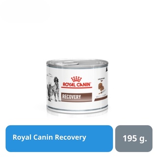 ส่งฟรี Royal Canin Recovery สัตว์ป่วย พักฟื้น กระป๋องชนิดเปียก 195g