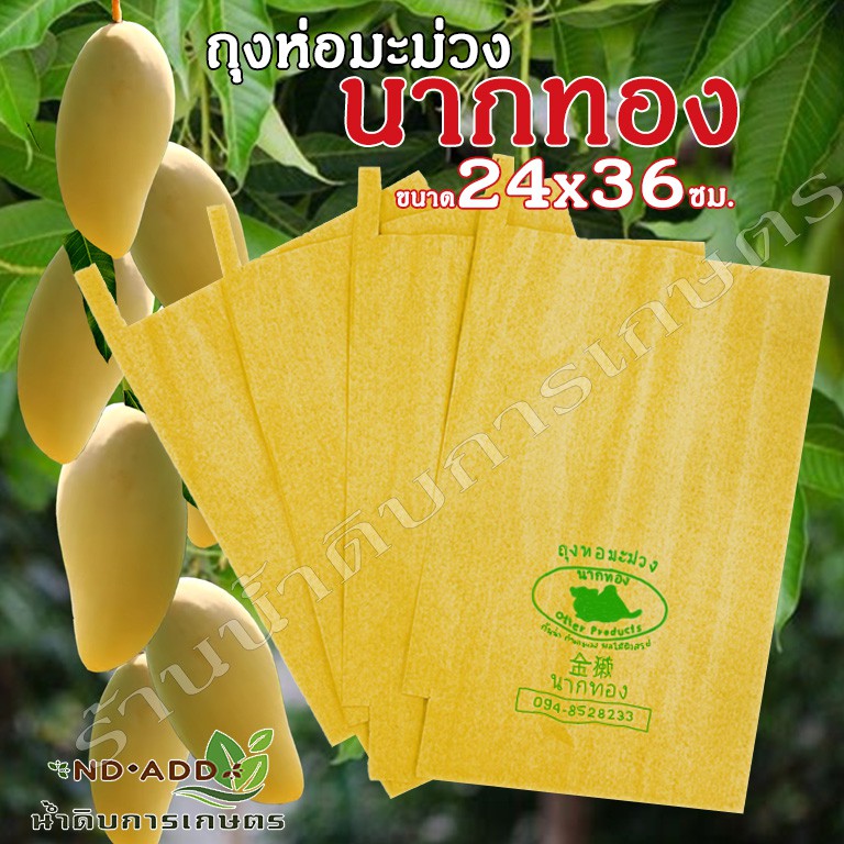 ถุงห่อมะม่วงถุงห่อผลไม้นาคทองถุงคาร์บอนขนาด 24x36 ซม. จำนวน100ใบถูกที่สุด