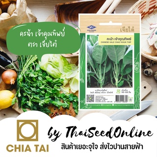 CTF1 เมล็ดพันธุ์ คะน้า คัดพิเศษอย่างดี เจ้าคุณทิพย์ คะน้ายอด ตราเจียไต๋ Kale